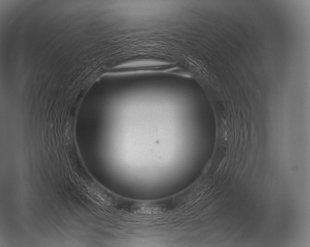 X0000052950601200507300047