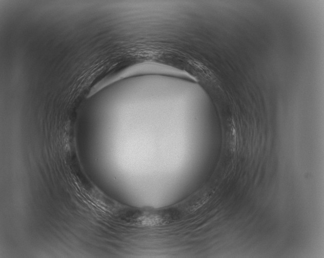 X0000052950604200507300047
