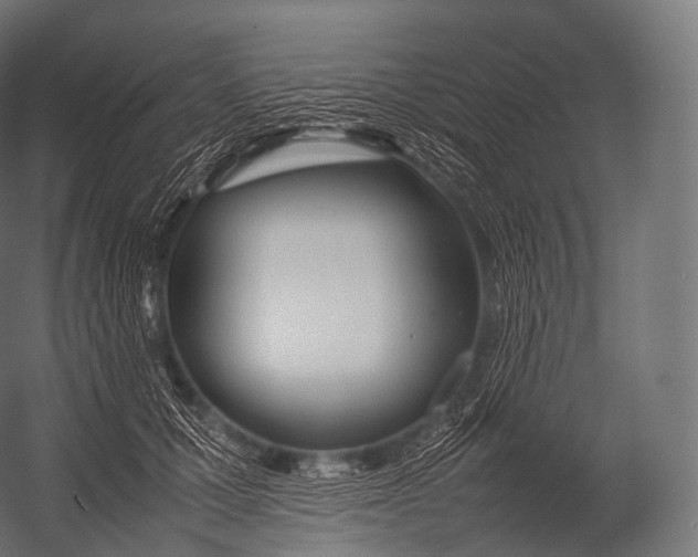 X0000052950607200507300047