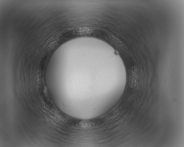 X0000052950608200507300047