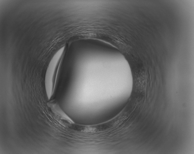 X0000052950609200507300047