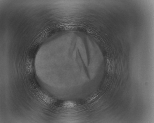 X0000052950610200507300047
