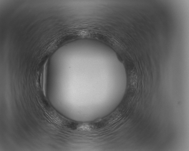 X0000052950611200507300047