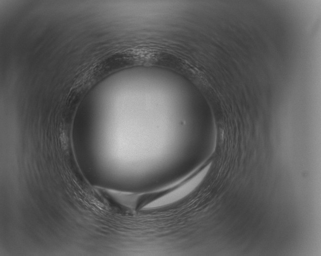 X0000052950613200507300047