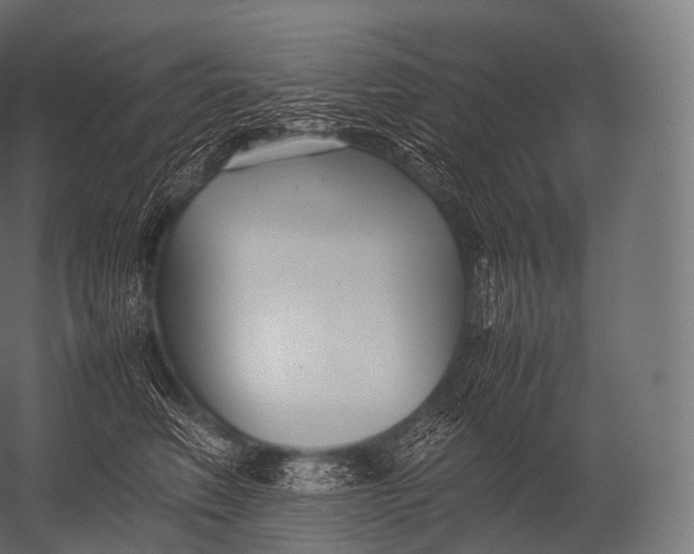 X0000052950614200507300047