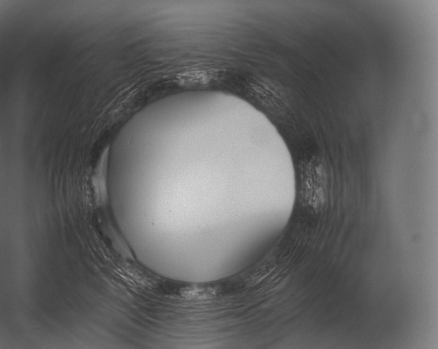 X0000052950616200507300047