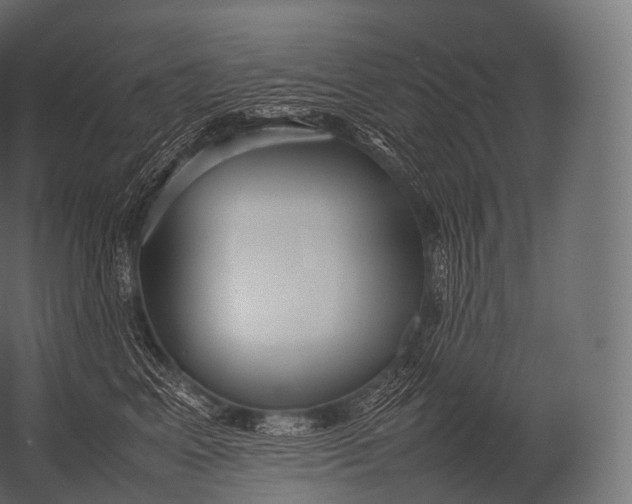 X0000052950617200507300047
