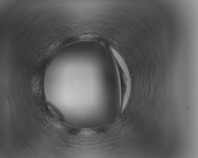 X0000052950619200507300047