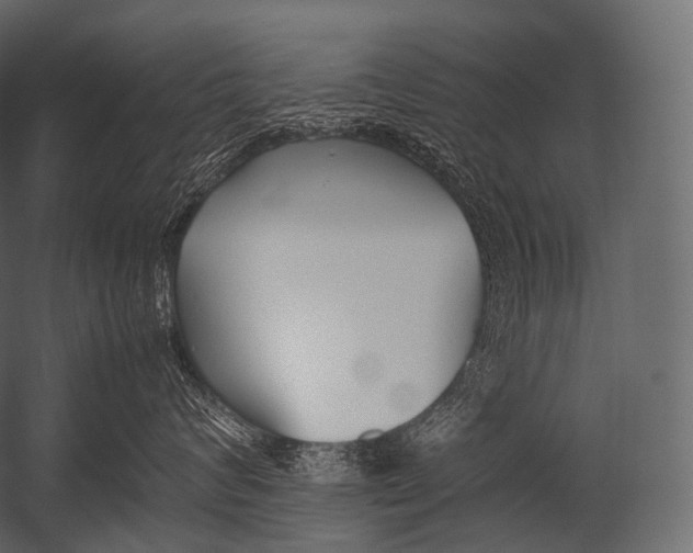 X0000052950624200507300047