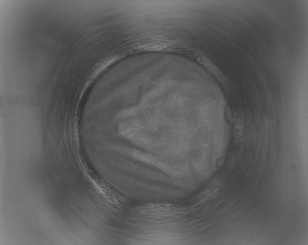 X0000052950626200507300046