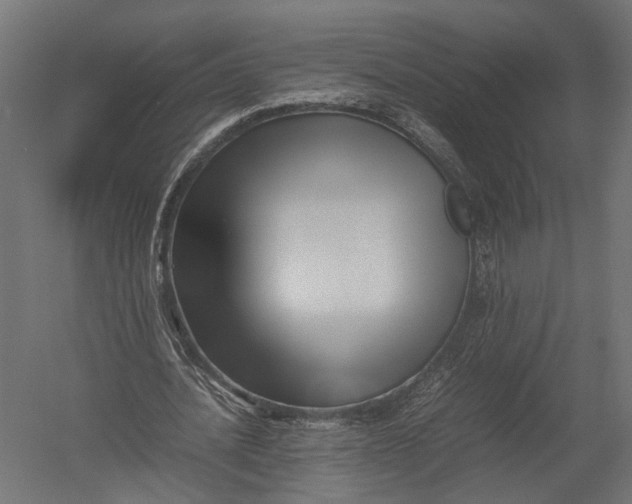 X0000052950628200507300046