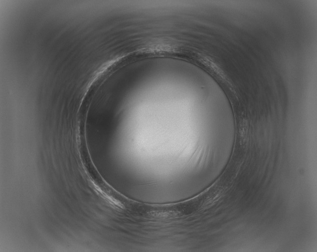 X0000052950629200507300046
