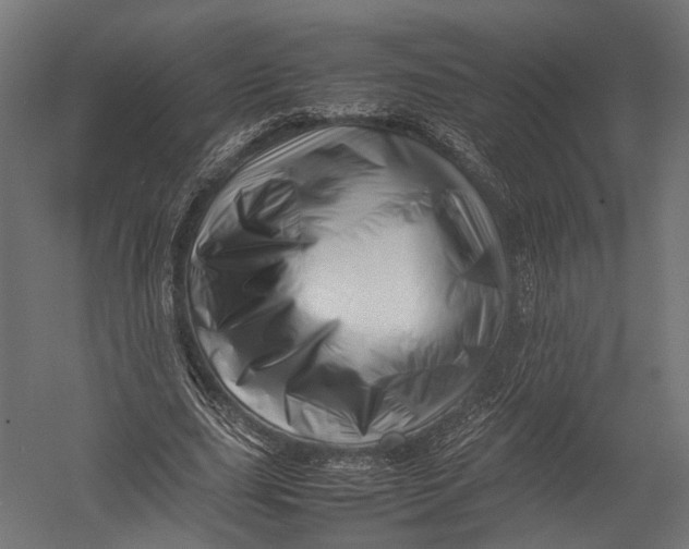 X0000052950631200507300046