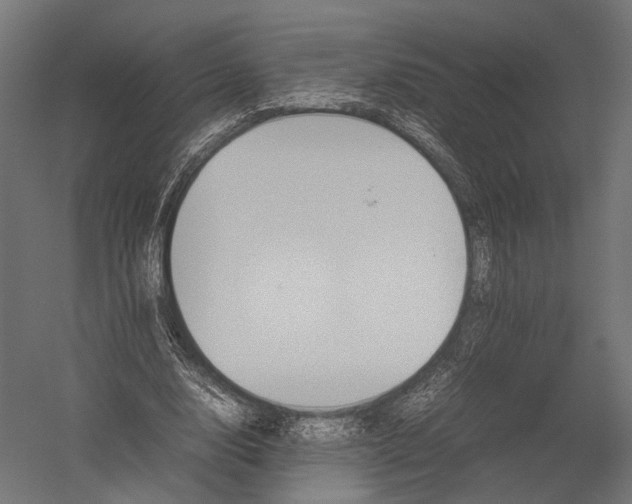 X0000052950632200507300046
