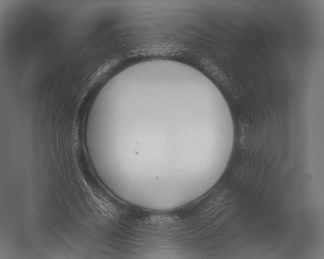 X0000052950636200507300046