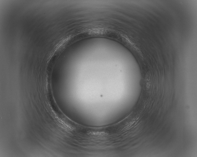 X0000052950637200507300046