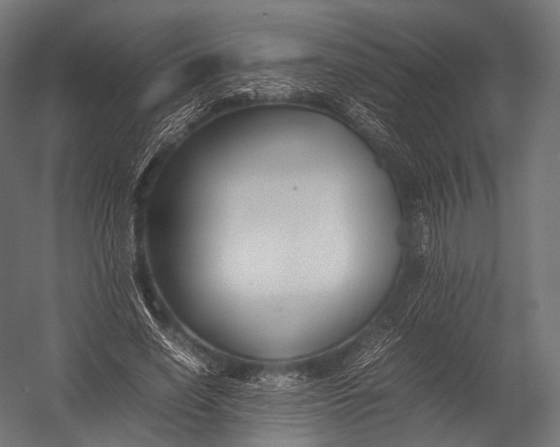 X0000052950638200507300046