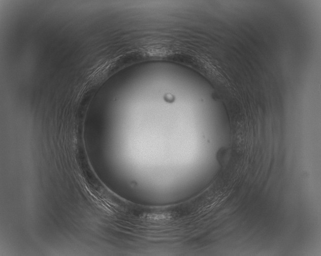 X0000052950639200507300046