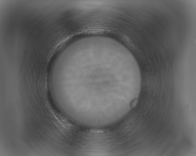 X0000052950640200507300046