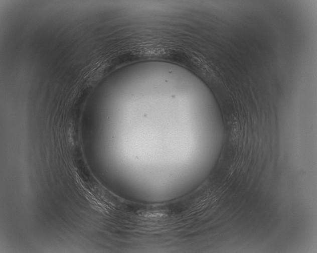 X0000052950643200507300046