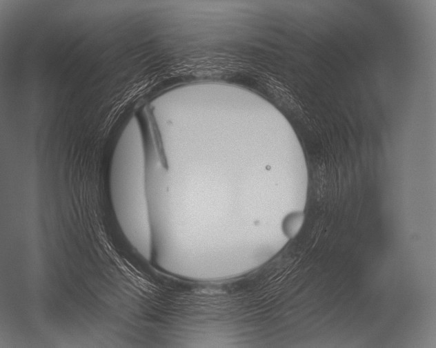 X0000052950644200507300046