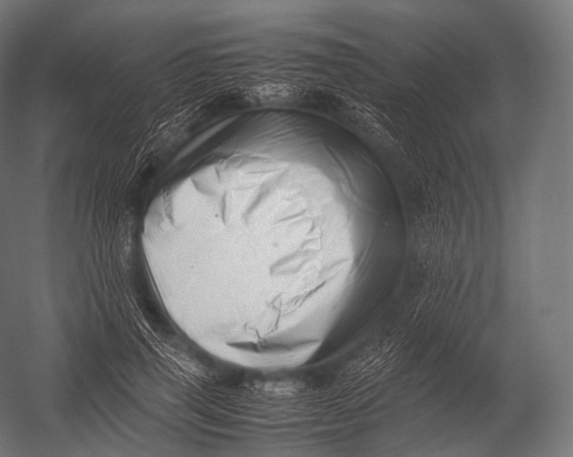 X0000052950645200507300046