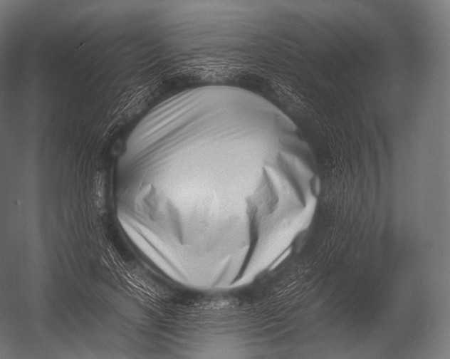 X0000052950646200507300046