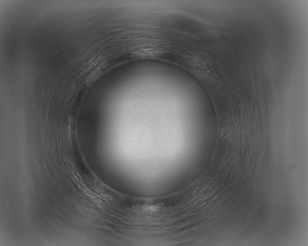X0000052950647200507300046