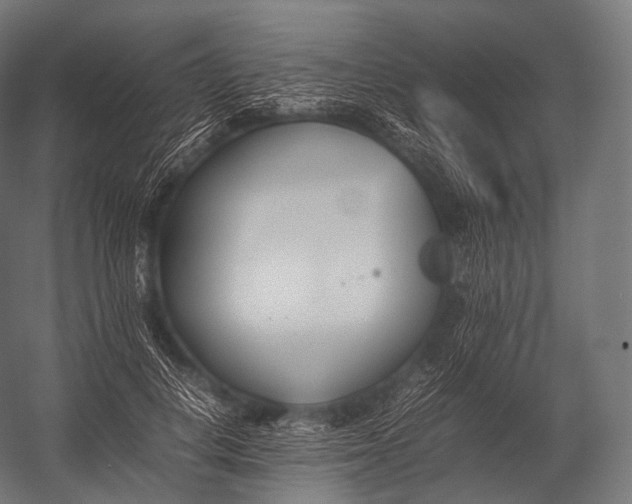 X0000052950648200507300046