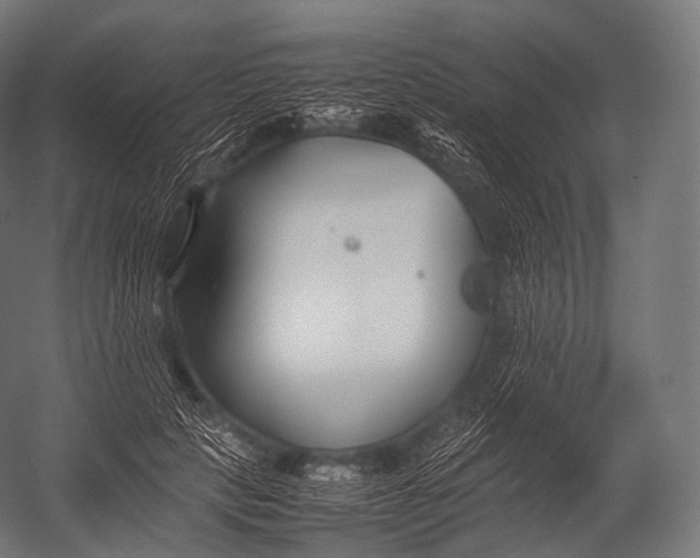 X0000052950649200507300046