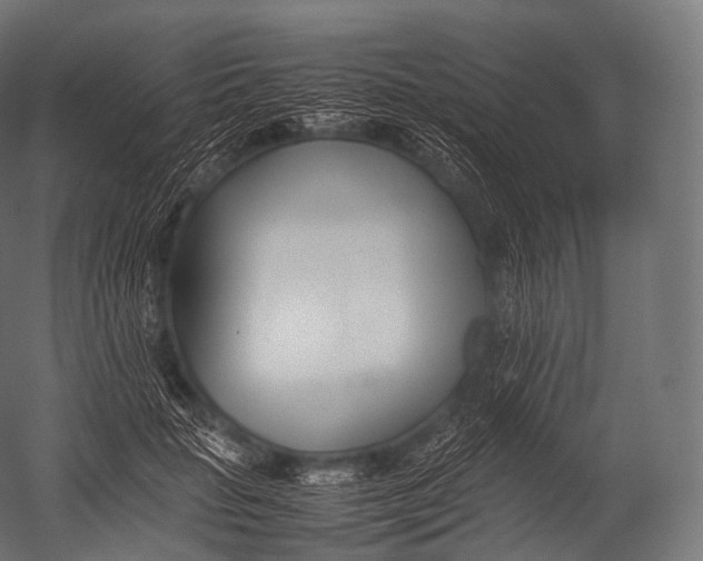 X0000052950653200507300046