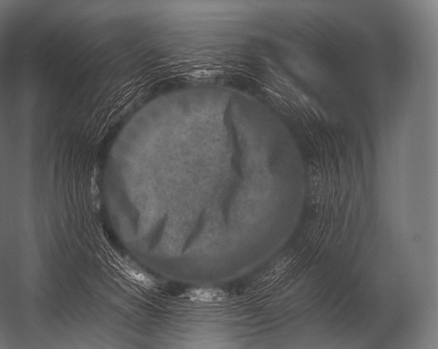 X0000052950654200507300046
