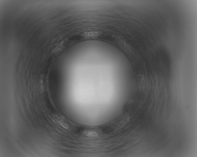 X0000052950655200507300046