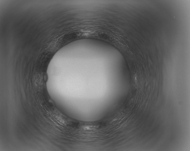 X0000052950657200507300046