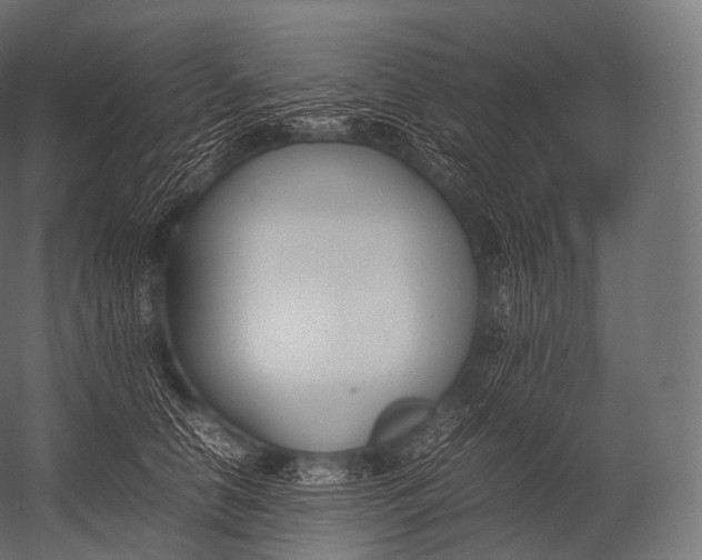 X0000052950658200507300046
