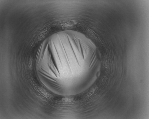 X0000052950660200507300046