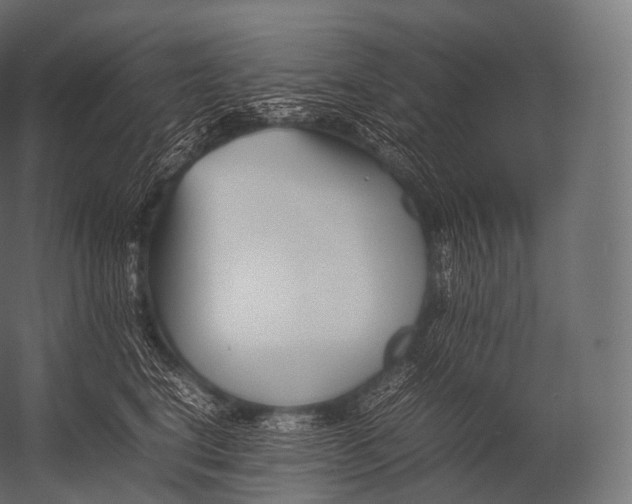 X0000052950664200507300046