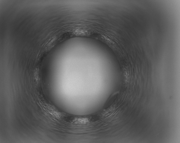 X0000052950665200507300046