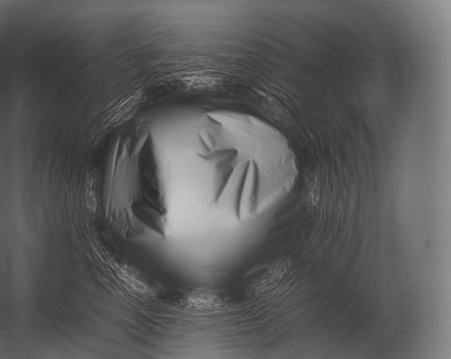 X0000052950666200507300046