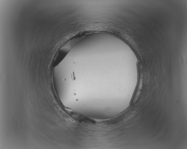 X0000052950673200507300046