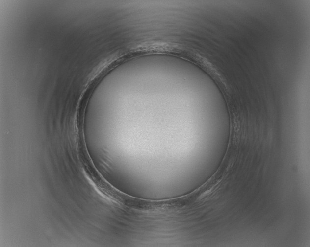 X0000052950674200507300046