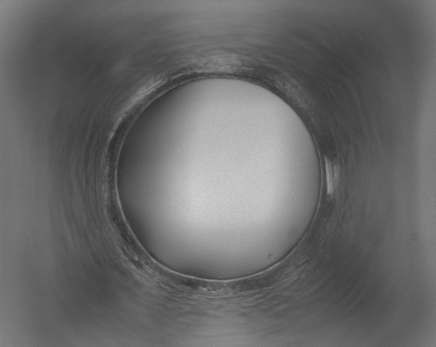 X0000052950675200507300046