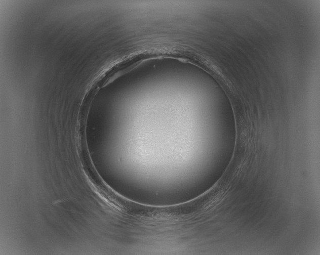 X0000052950677200507300046