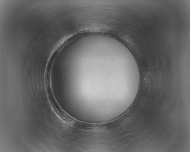 X0000052950678200507300046