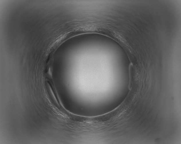 X0000052950681200507300046