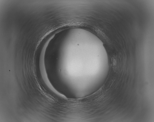 X0000052950684200507300046
