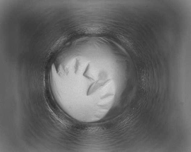 X0000052950686200507300046