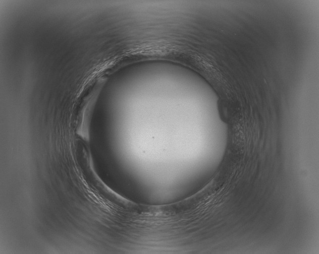 X0000052950688200507300045