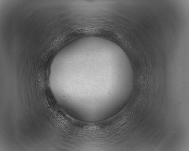X0000052950689200507300045