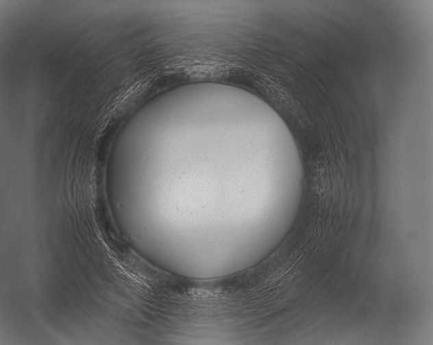 X0000052950690200507300045